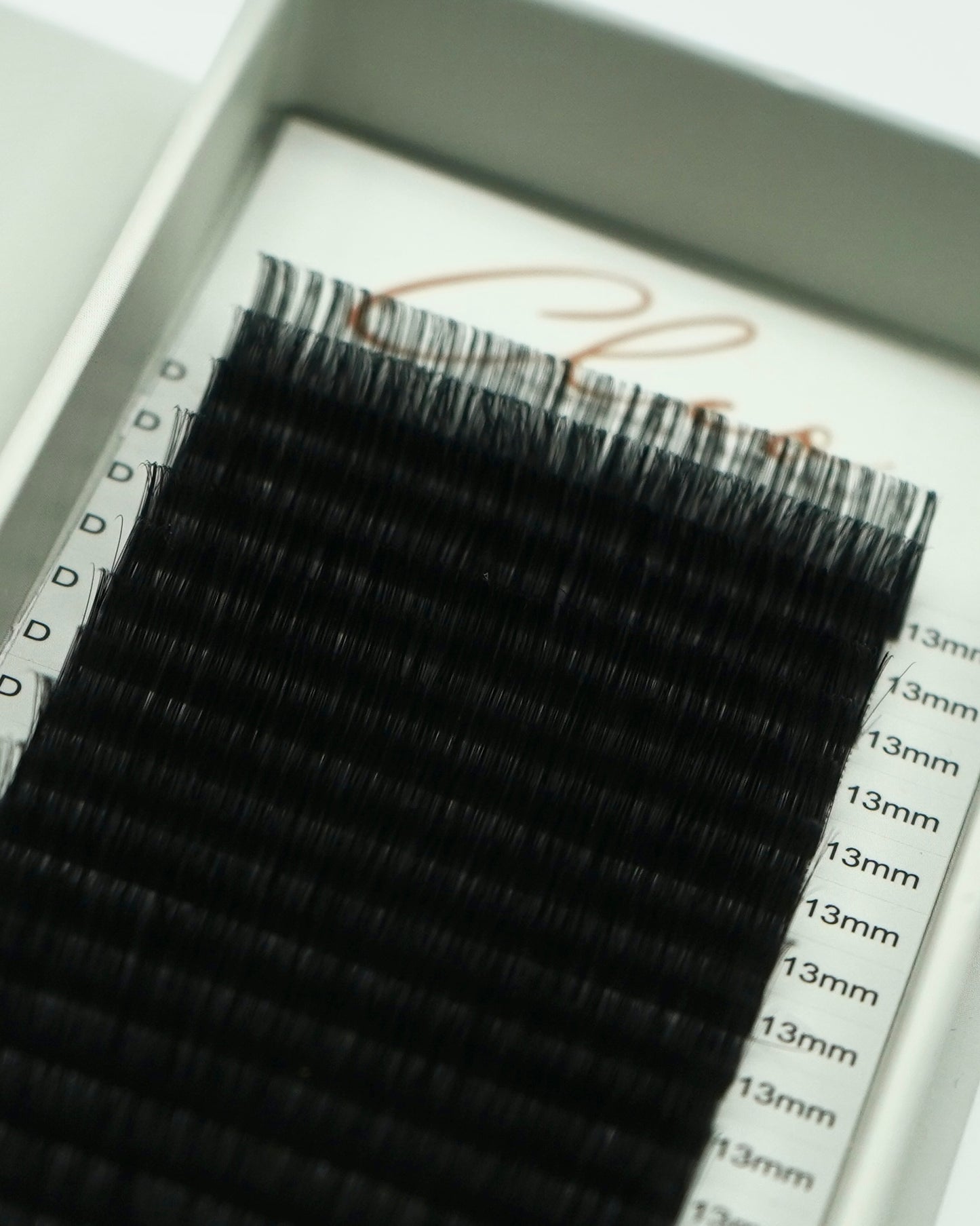 0.03 Bloom 🌼 Single Trays